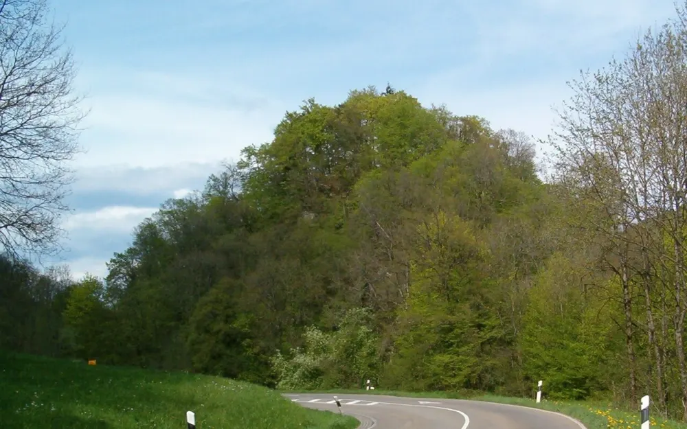 Gutenburg (Hochrhein)