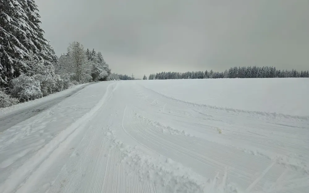 Einstieg in Skatingloipe