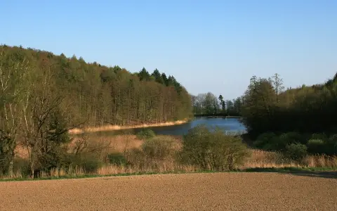 Bodenseeufer (19 Teilgebiete)