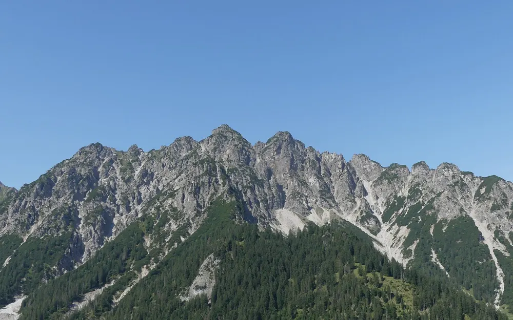 Hohe Köpfe