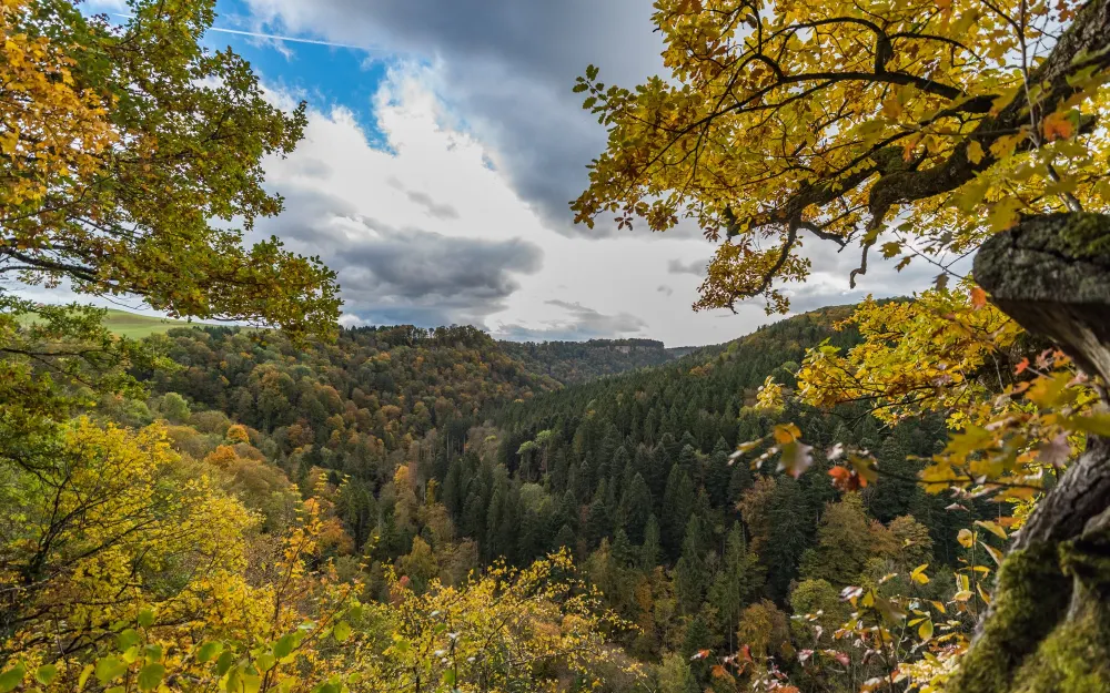 Aussicht über die Wutachflühen