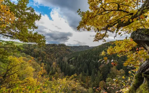 Aussicht über die Wutachflühen
