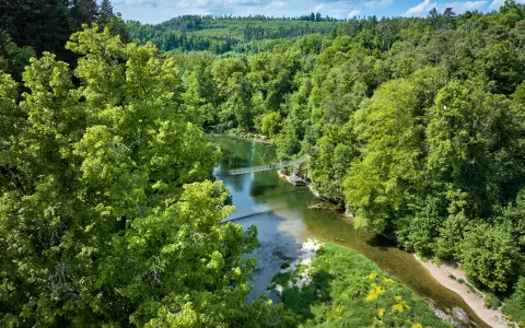 Hängebrücke Inzigkofer Park