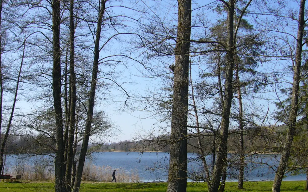 Hüttwilersee