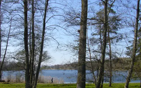 Hüttwilersee