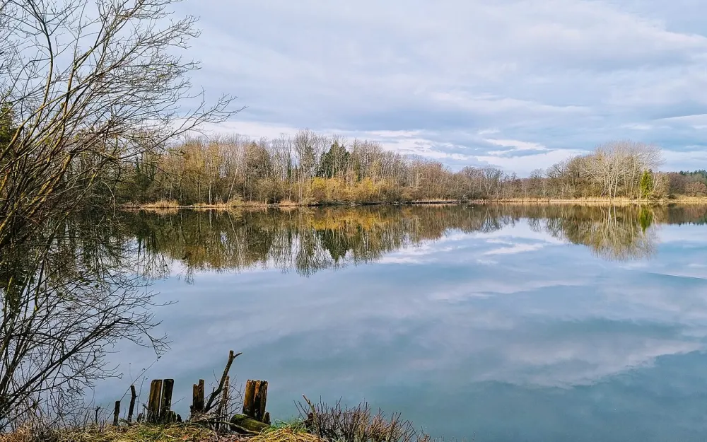 Ziegeleiweiher Rickelshausen