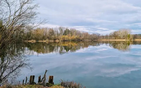 Ziegeleiweiher Rickelshausen