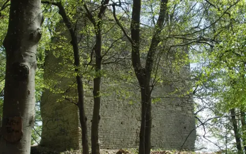 Burgruine Alter Turm Aach