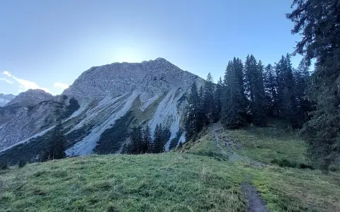 Entschenkopf
