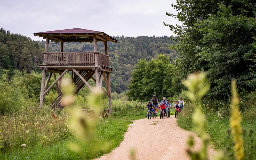 Naturbeobachtungsturm Veringenstadt