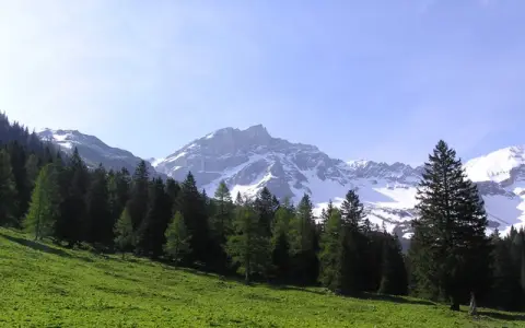 Naafkopf