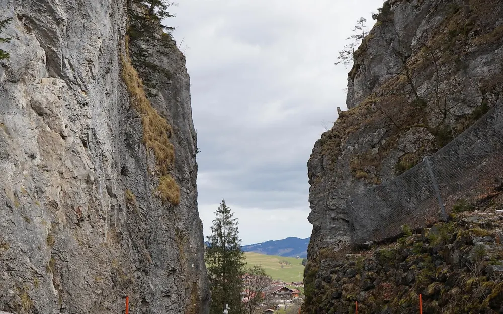 Hirschsprung Obermaiselstein
