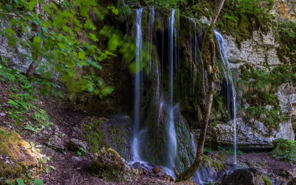 Tannegger Wasserfall