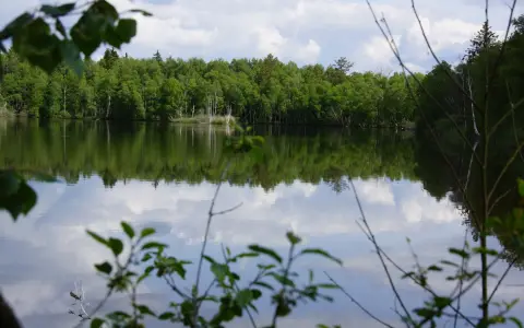 ehemaliger Moorsee