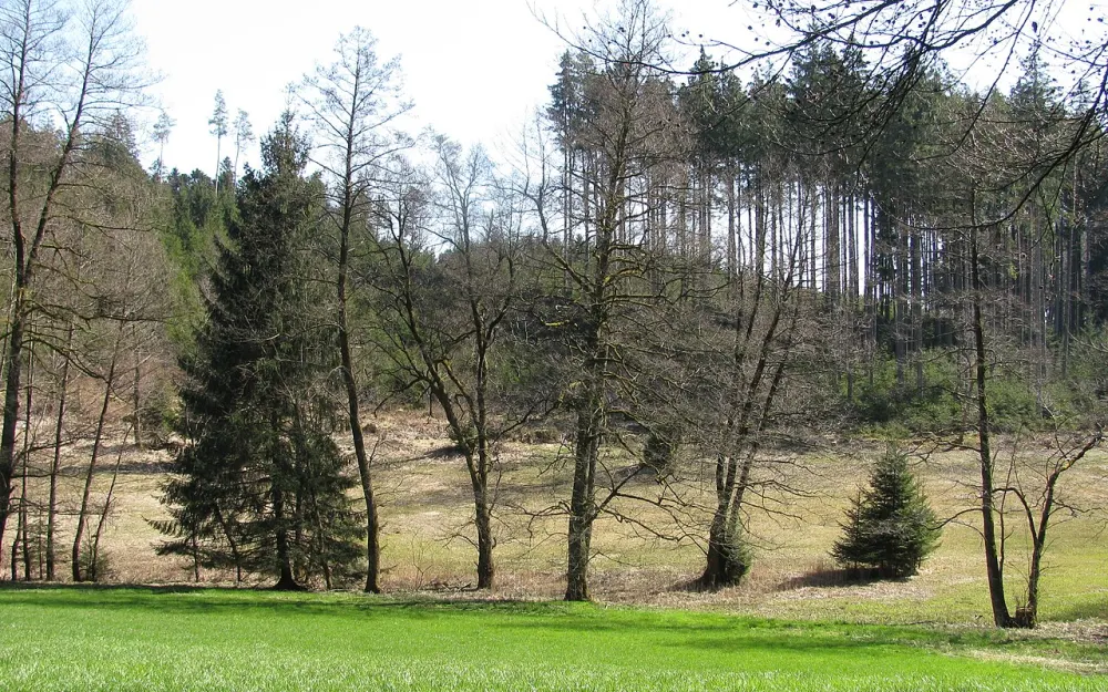 Hüttenwiesen