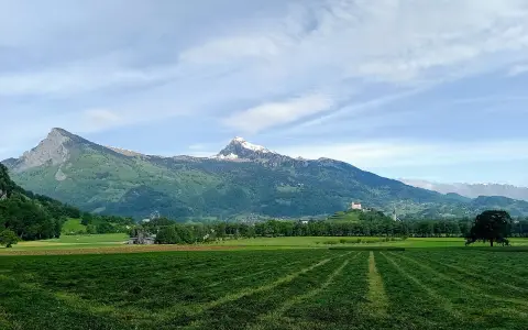 Gauschla