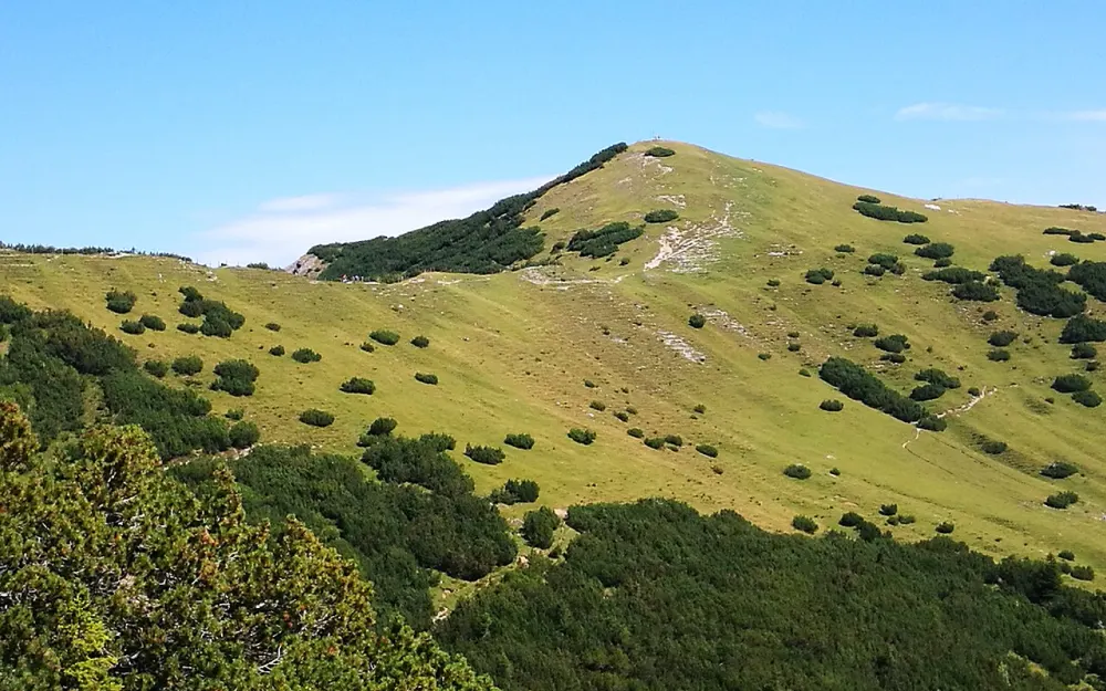 Schönberg