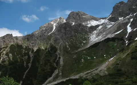 Alpgundkopf