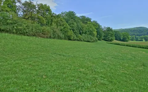 Orchideenwiese Küßnach