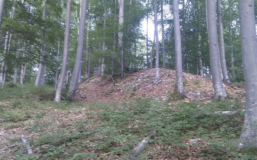 Burg Amtenhausen