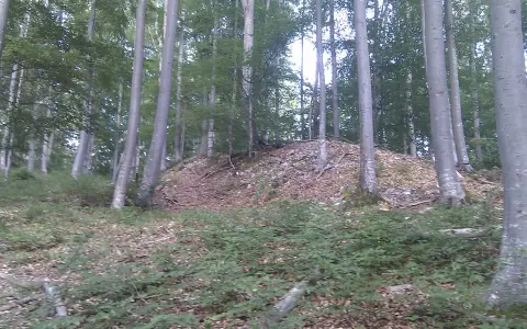 Burg Amtenhausen