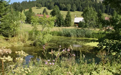 Rohrmoos