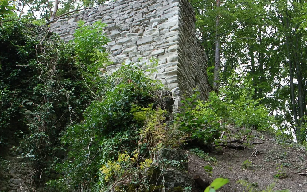 Burg Hohenfels (Sipplingen)