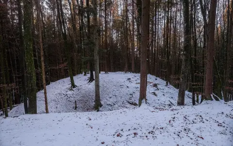 Burg Trossingen (Burgbühl)