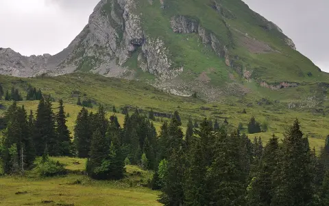 Frümsel