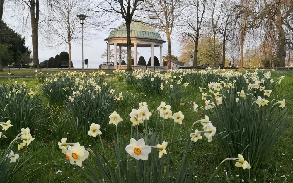 Uferpark Friedrichshafen