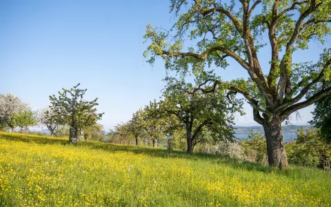 Überlingen-Teilorte-2271