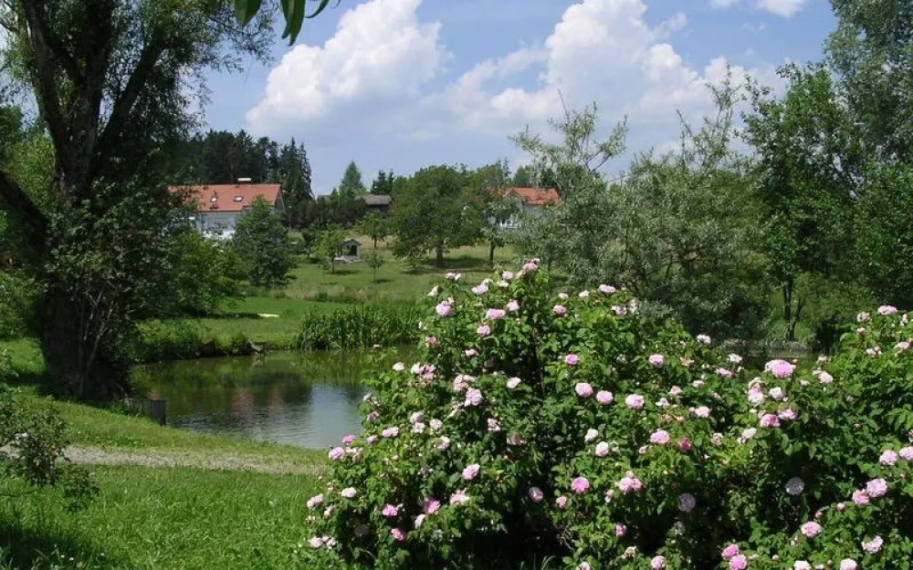 Weiher im Rosendorf