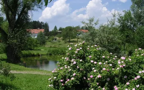 Weiher im Rosendorf