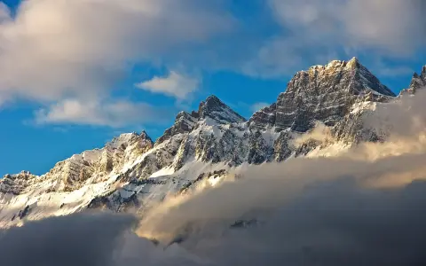Brisi