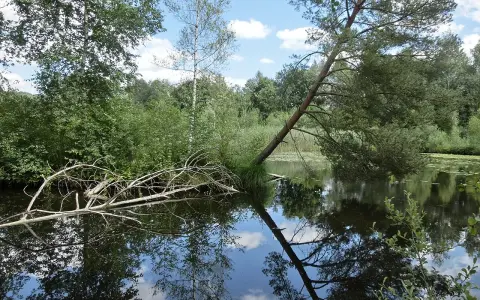 Pfrunger und Burgweiler Ried