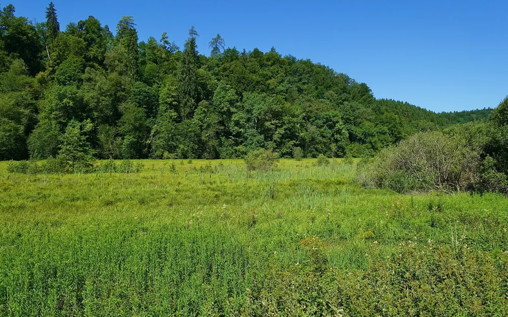 Kapellenhalde – Wüster See