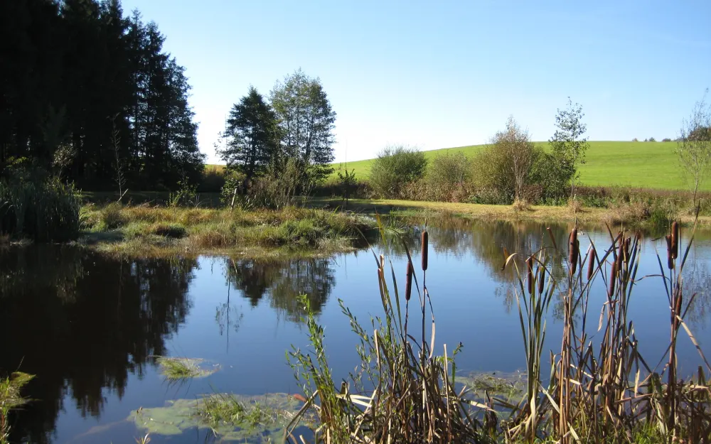 Argenbühl - Malaichenrunde - Nr.