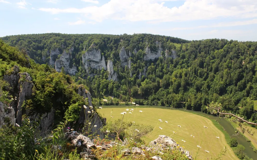 Ausblick vom Schaufelsen Bild Donaubergland GmbH