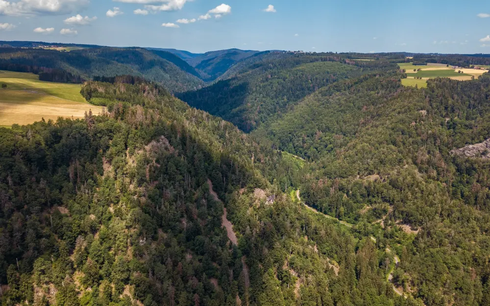 Hohfluhfelsen