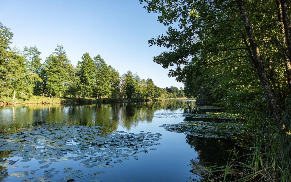 Naturschutzgebiet Schwackenreuter Baggerseen - Rübelisbach