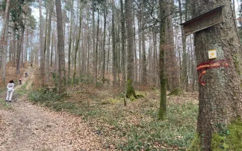 tettnang-weg-richtung-grafenholz-foto-margret-kaiser