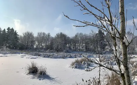 Schwabelsberger Weiher