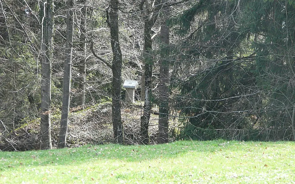 Burgstall Linsen