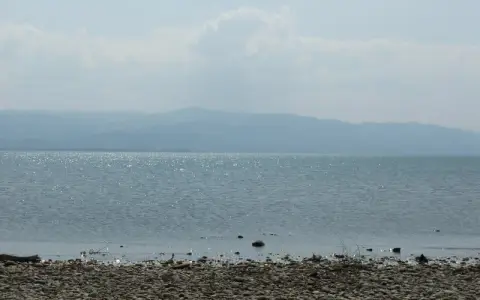 Badestelle für Hunde am Malerwinkel Nonnenhorn