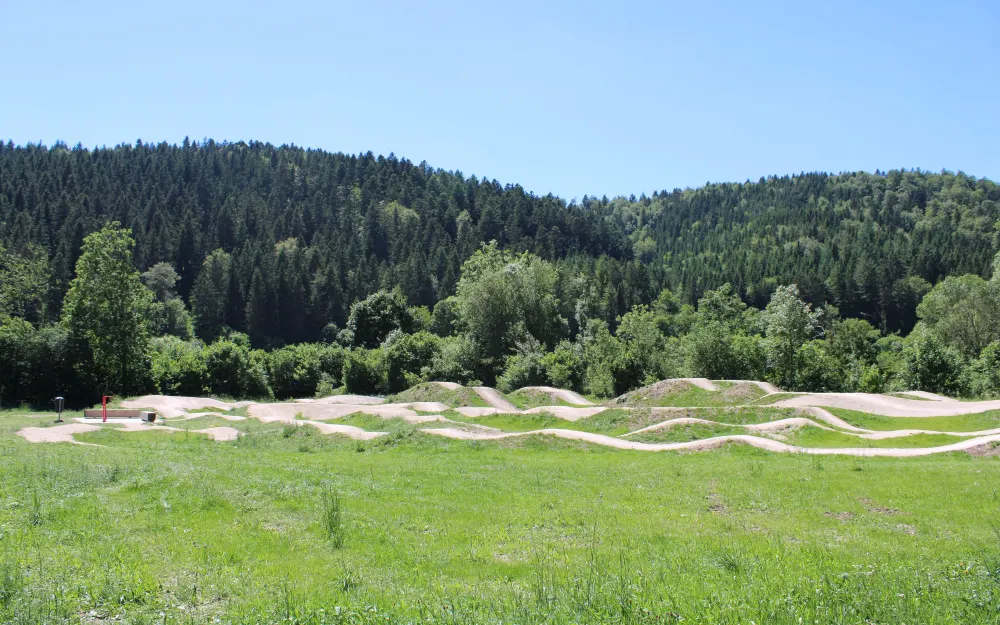 Bikepark im Lippachtal