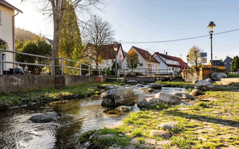 Fehlaquelle in Burladingen