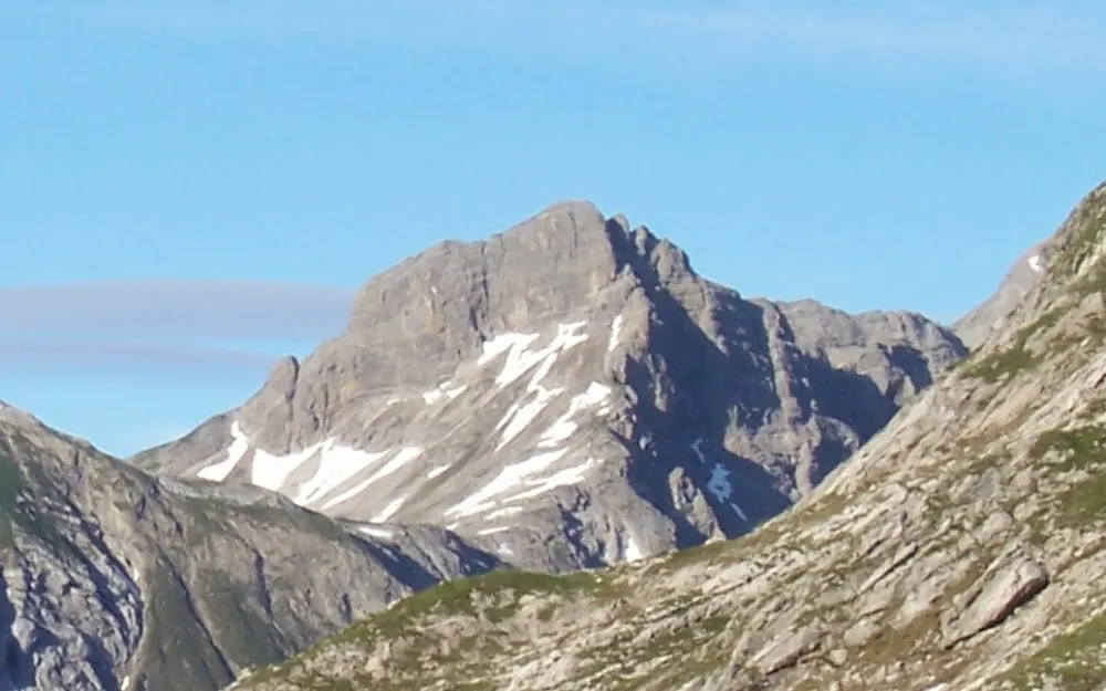 Wildmahdspitze