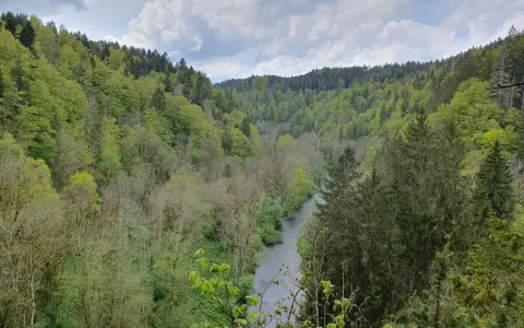 Wutachschlucht