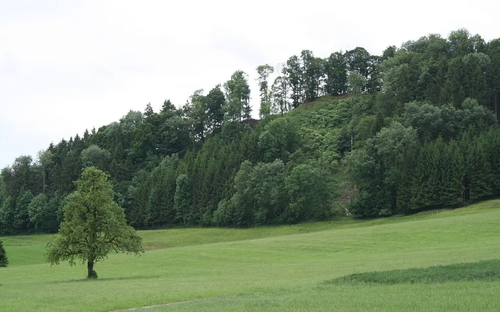 Ruine Alt-Bichelsee
