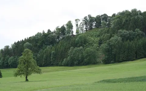 Ruine Alt-Bichelsee